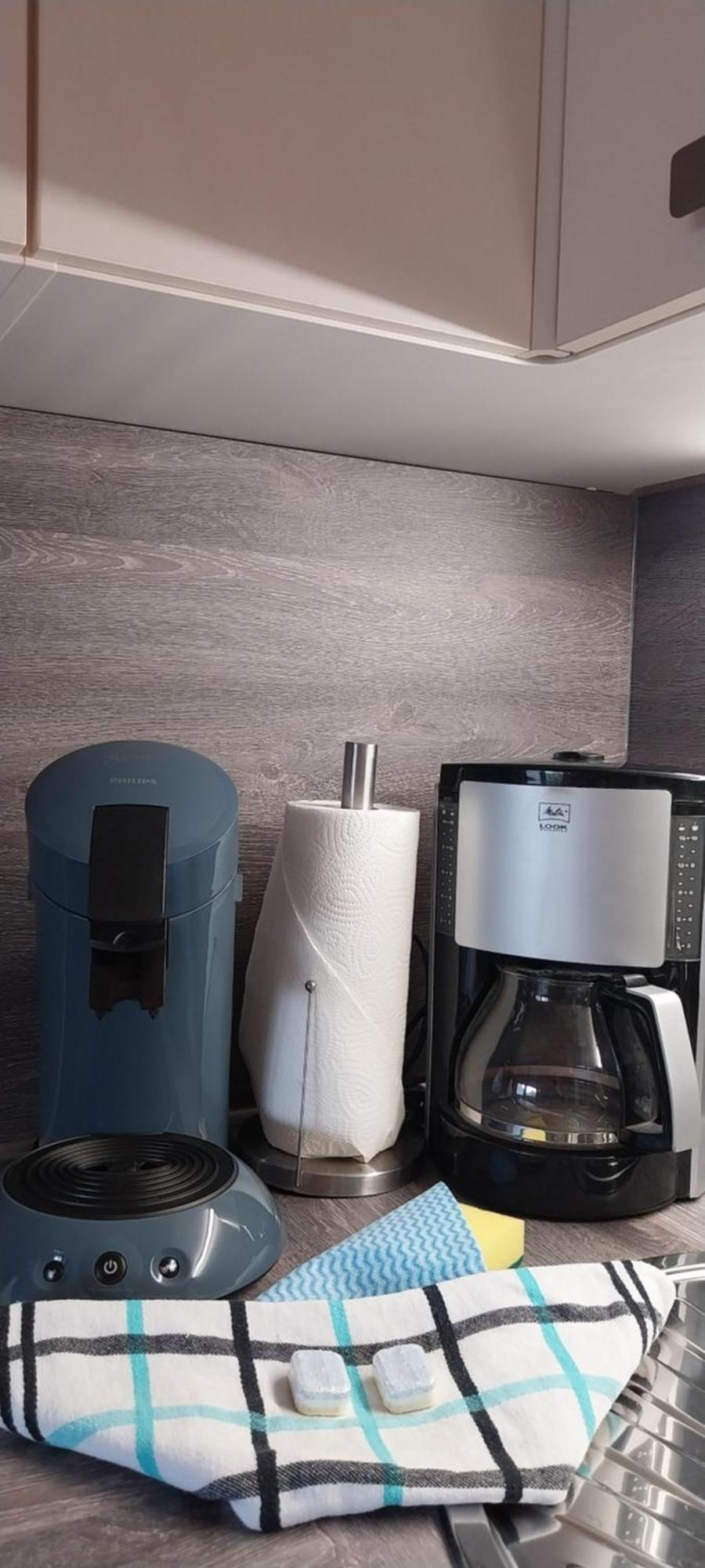 בורהאבה Ferienwohnung Kleine Kegelrobbe מראה חיצוני תמונה