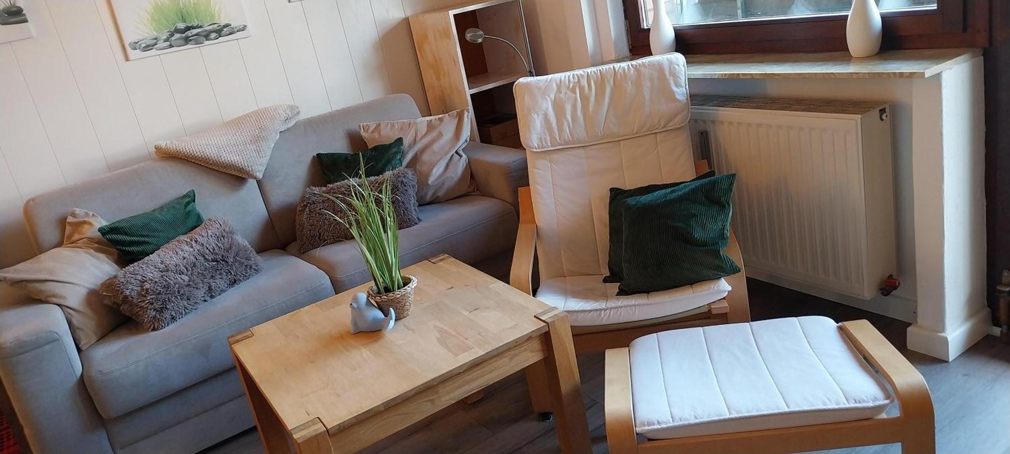 בורהאבה Ferienwohnung Kleine Kegelrobbe מראה חיצוני תמונה